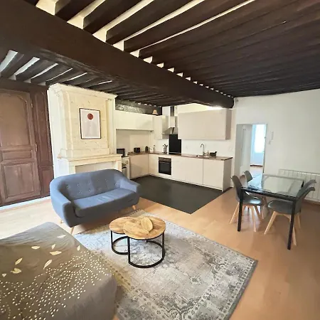 Spacieux De Charme En Hyper-centre Apartment